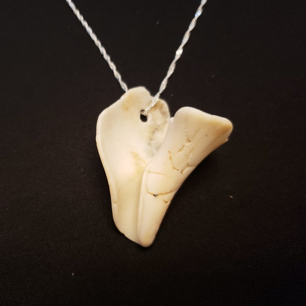 Ocean Treasures Collection artisan shell necklace w/20" 925plated Sterling chain